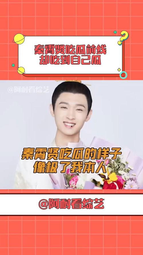 娱乐吃瓜秦霄贤,娱乐吃瓜界的风云人物